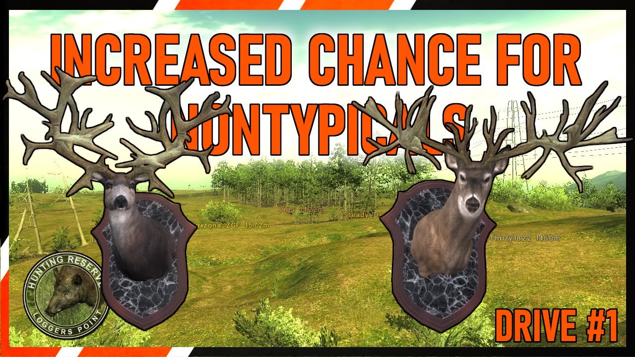 Logger's Point DRIVE#1 | theHunter Classic 🦌