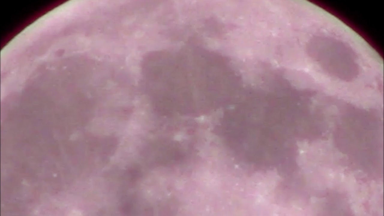 Urban Astronomy: Supermoon on April 7β8, 2020