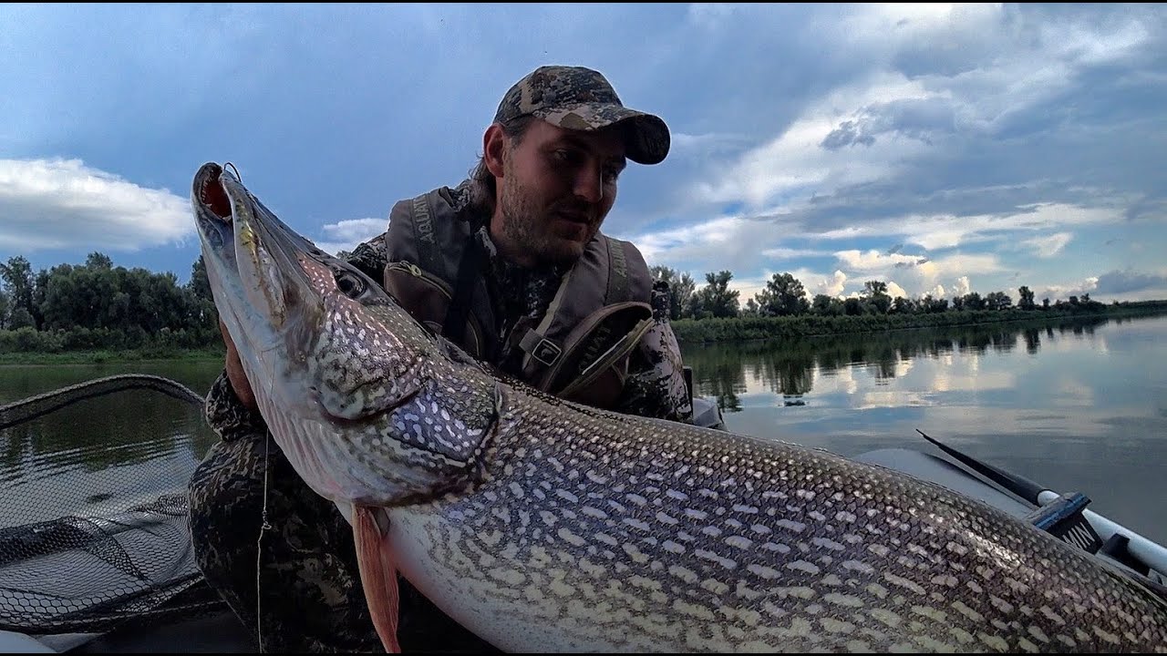 Шок! Гигантская людоедская щука поймана — Трофейная рыбалка на Оби 🎣