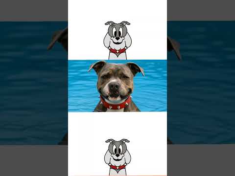 Sprunki OC: Swimming pool In Spike Bulldog from Tom and Jerry #sprunki #incredibox