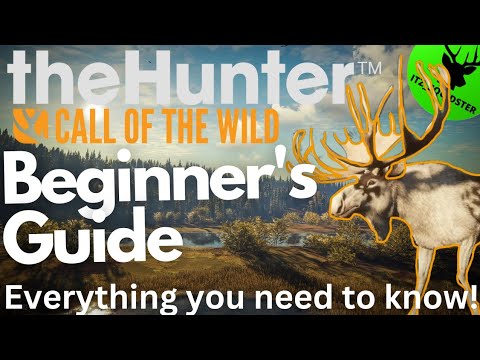 Beginner's Guide 2024 to theHunter Call of the Wild 🦌