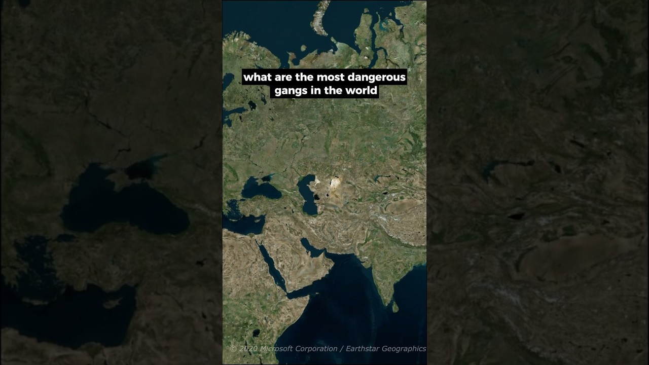 Most Dangerous gangs in the world  #history #topandmost #facts #geography #topmost