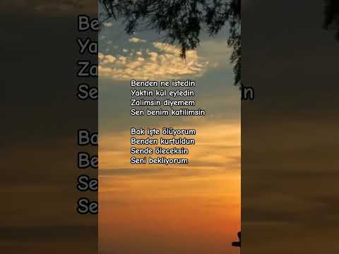 Sen benim katilimsin @Halil Ergün #youtubeshorts #keşfet #youtube