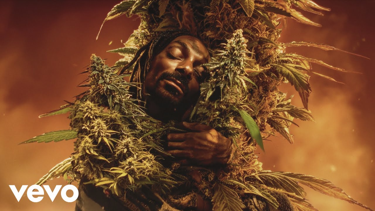 Last Dance with Mary Jane ft. Tom Petty & Jelly Roll 🎶