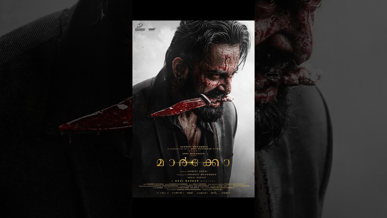 Top South Hindi Dubbed Movies of 2024 🎬