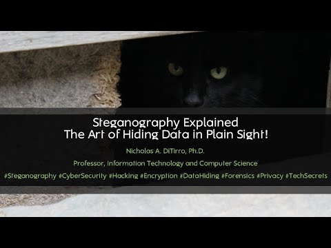 Steganography Explained 🕵️‍♂️ | The Art of Hiding Data in Plain Sight!  - 042324B01