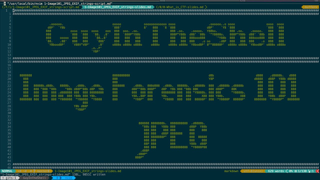 CTF Image Forensics 101: Learn How Data Can Be Hidden in JPEG Files 📸