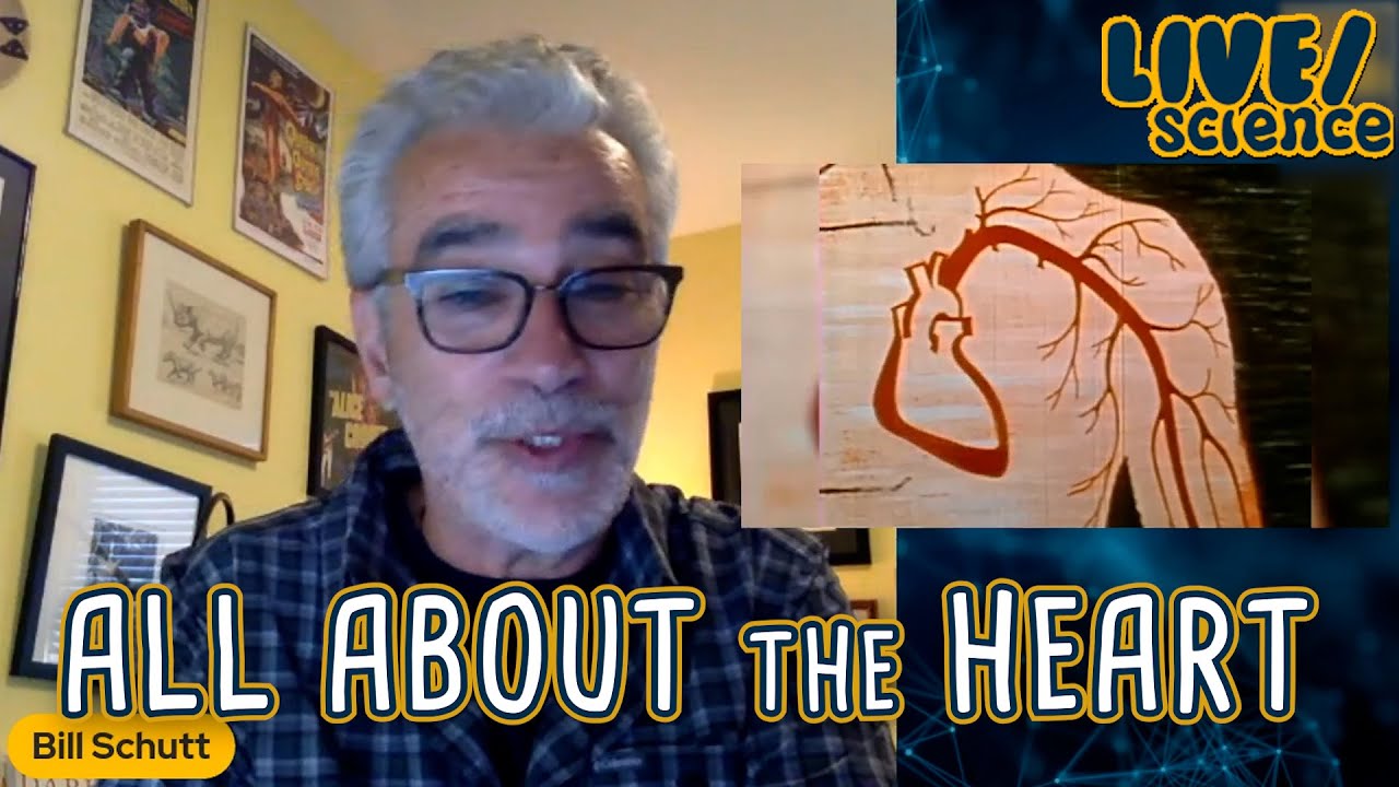 All About the Heart ❤️: Win a Copy of 'Pump'