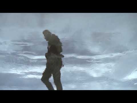 Erland Cooper - Haar (Official Video)