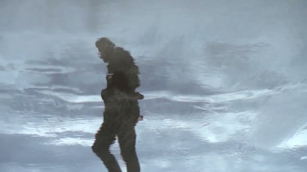 Erland Cooper - Haar 🎶 Official Music Video from 'Sule Skerry' Album