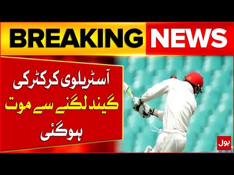Cricketer Dies After Being Hit by Ball | Australian Cricketer | Breaking News