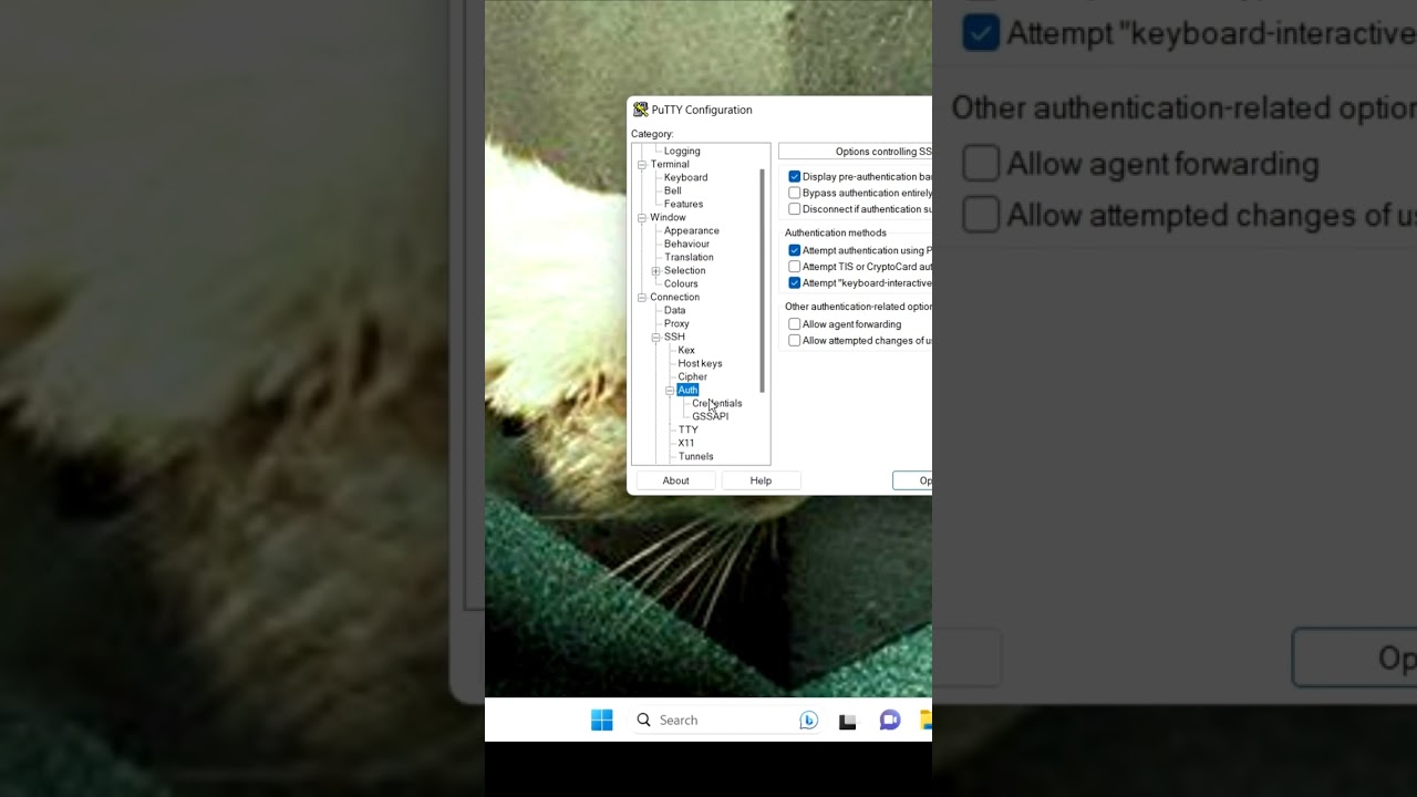 Add SSH Key in PuTTY ๐ (Quick Guide)