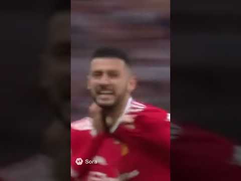 Football Match Interrupted by a Cat again! 🐱⚽ Футбольний матч знов перервав кіт!