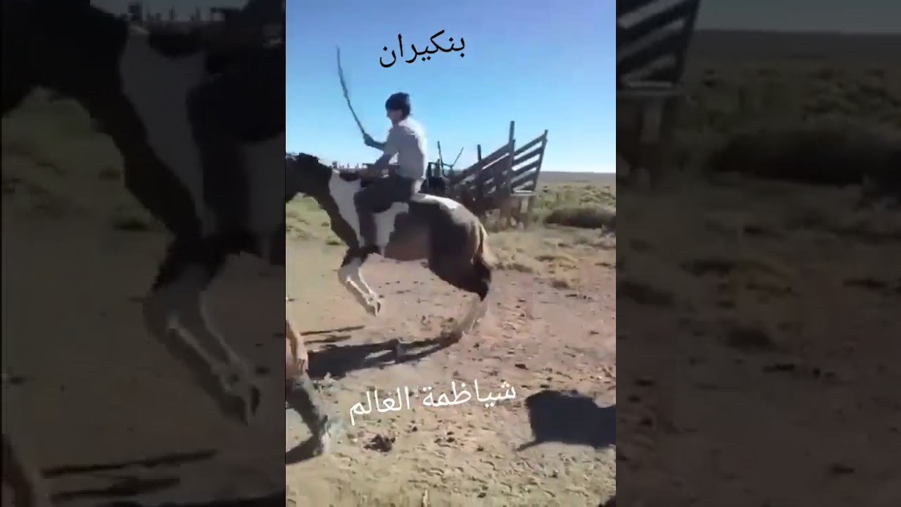 FOKAHA MAROC 2017 Event Overview