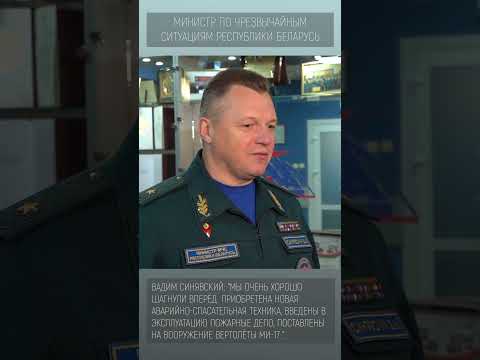 Вадим Синявский. Коллегия МЧС