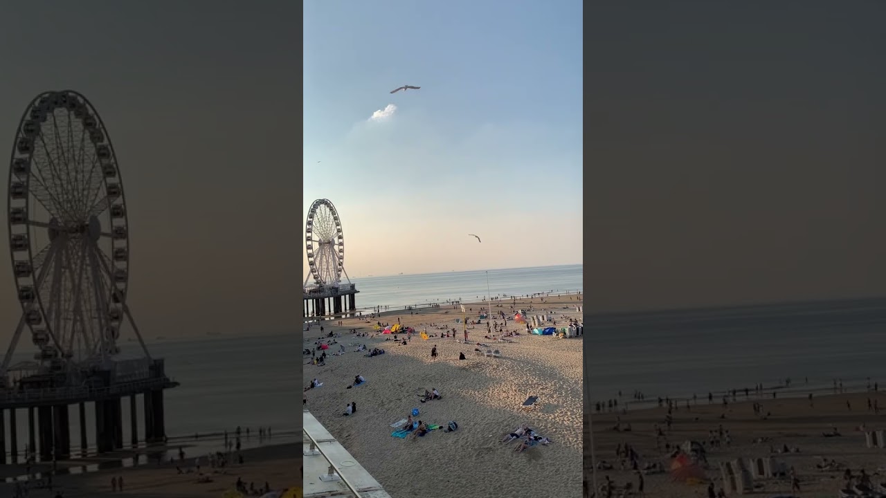 تعلم يومي وجمال هولندا الطبيعي 🌻