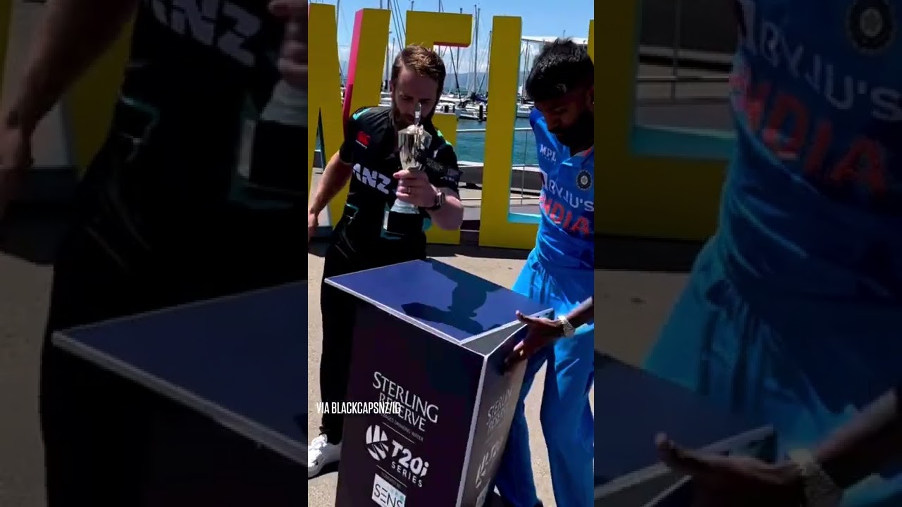 Kane Williamson's Reliable Hands 😂