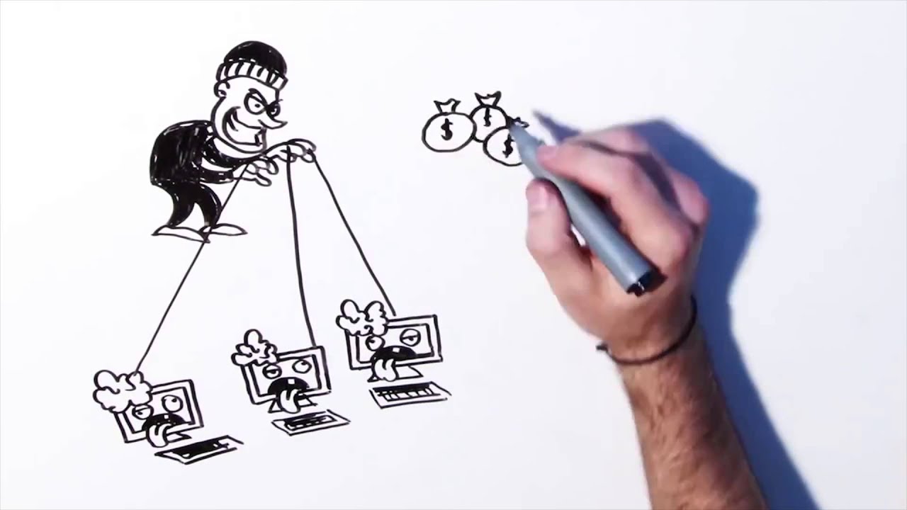 Understanding Botnets and Their Spread 🌐