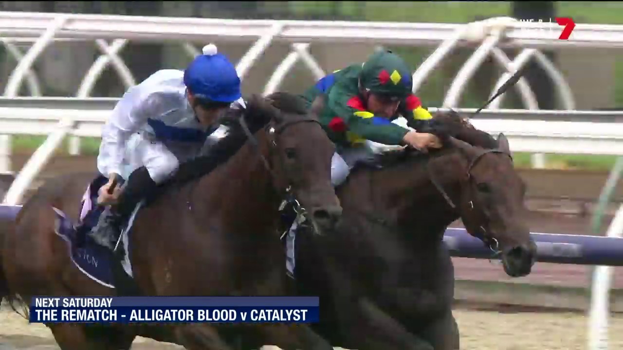 2020 Exciting Highlights from the 2020 VRC Australian Guineas 🏇