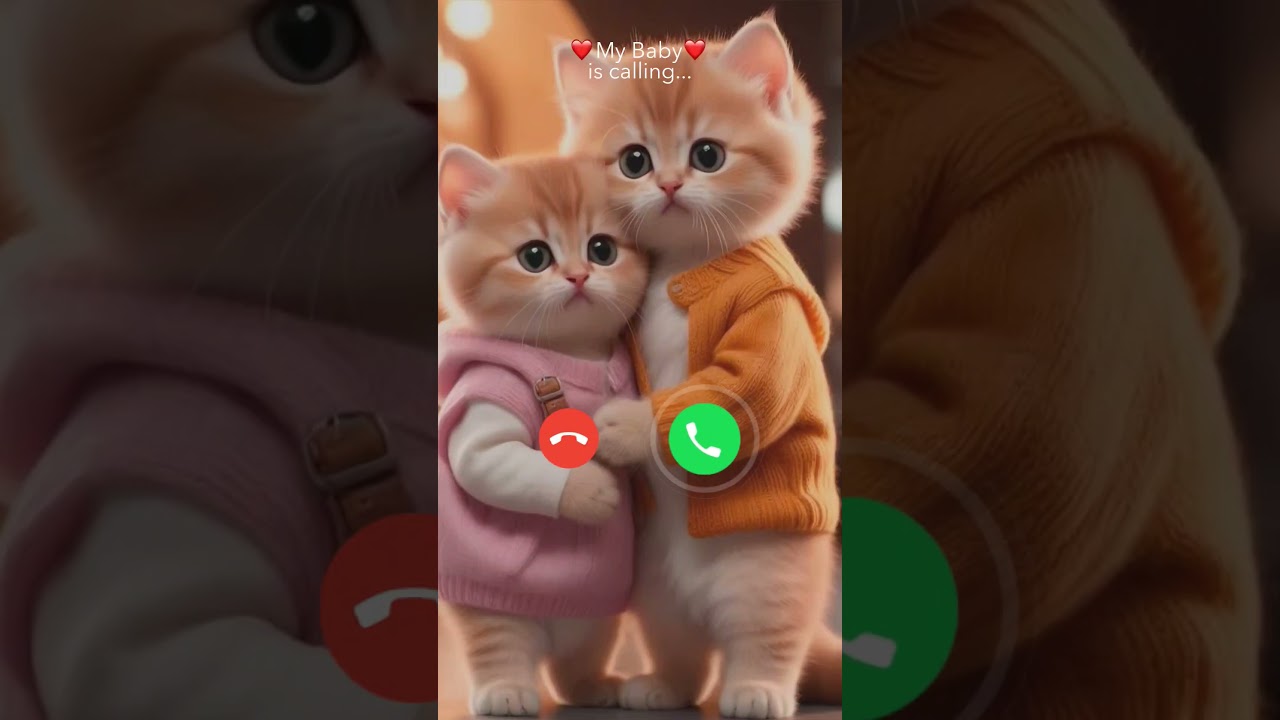 Cute Cat Ringtone for Your Phone 🐱 | Perfect for Calls and Alerts