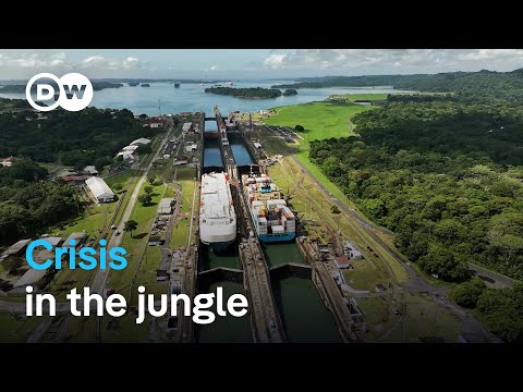 Panama - Navigating crises at the canal | DW Documentary