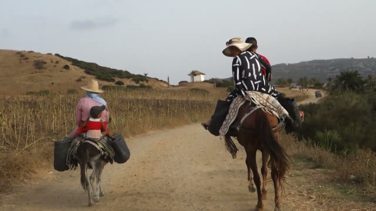 Explorez le Rif du Maroc en été 2024 avec HabariSalam 🌞