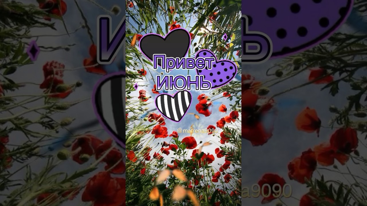 Привет, июнь! 🌞 Начинаем лето с яркими впечатлениями