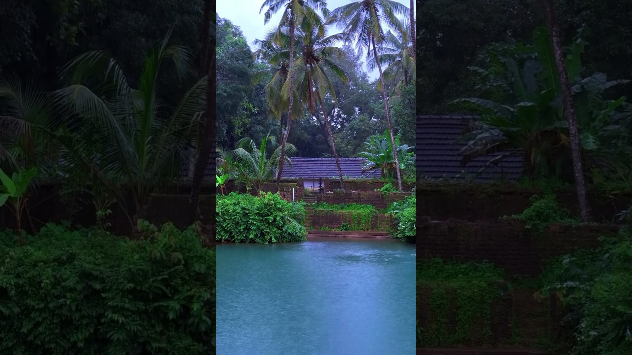 Rainy Day in Kerala: Nostalgic Village Scenes from Palakkad