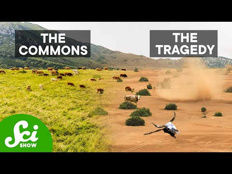 How To Solve Game Theory's Unsolvable Problem