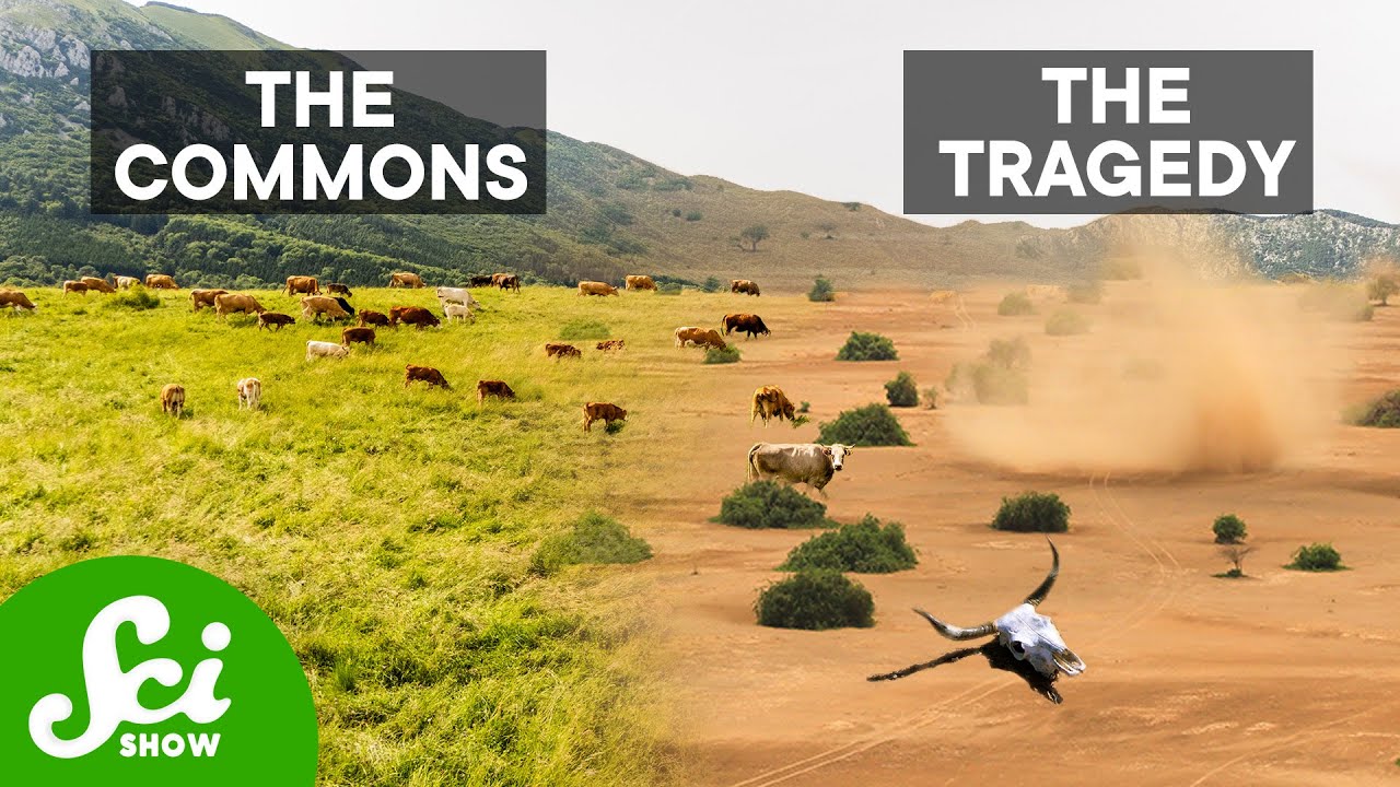 Crack the Unsolvable: Solving One of Game Theory's Biggest Challenges 🎮