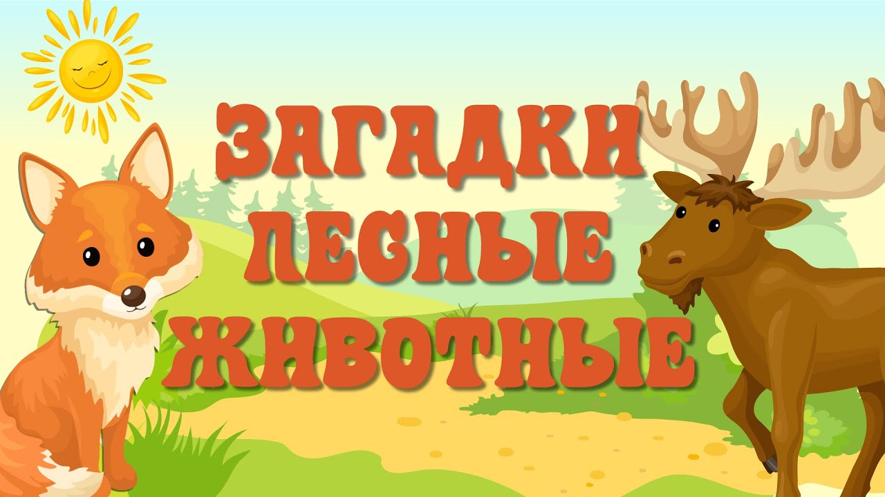 Лесные загадки для детей 🐾