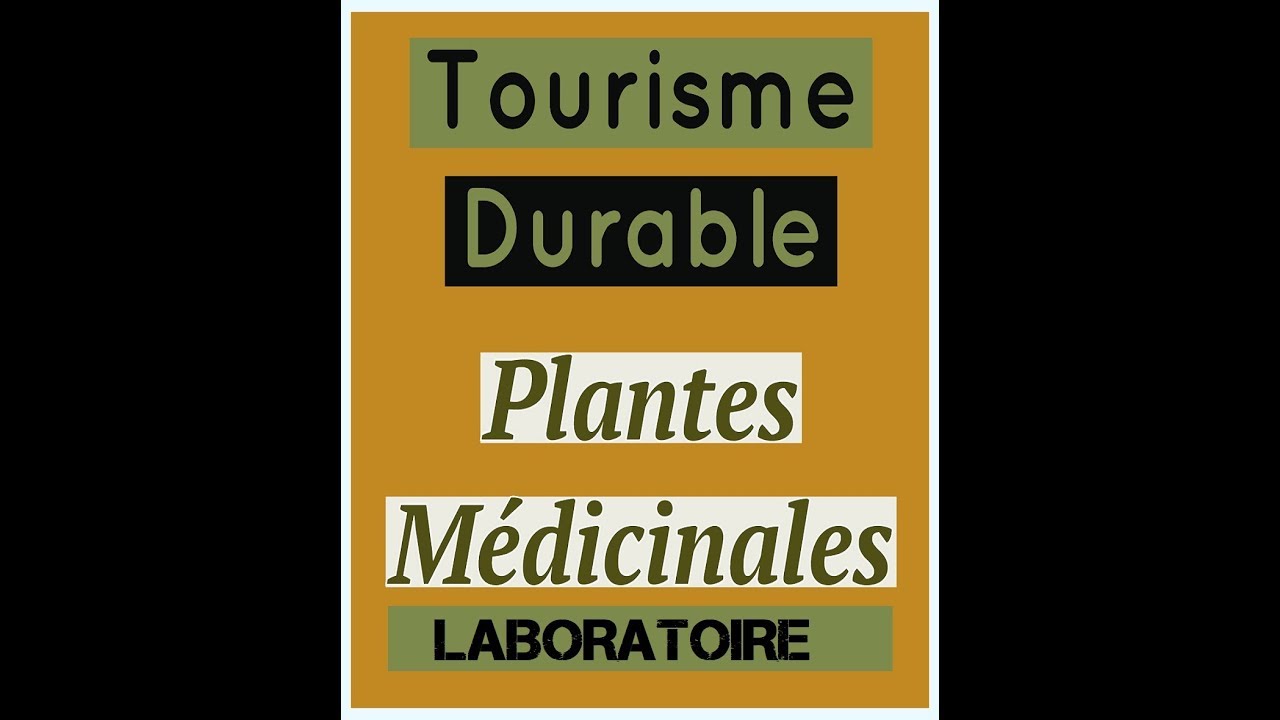 Guatemala - Tourisme Solidaire & Volontariat 🌱