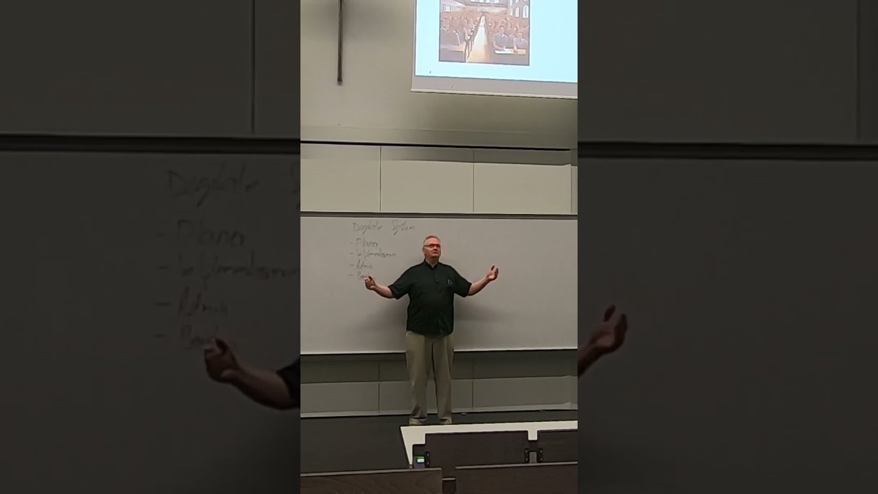 Vielfalt in der Informatik: Warum Informatiker heute viel bunter sind 🌍