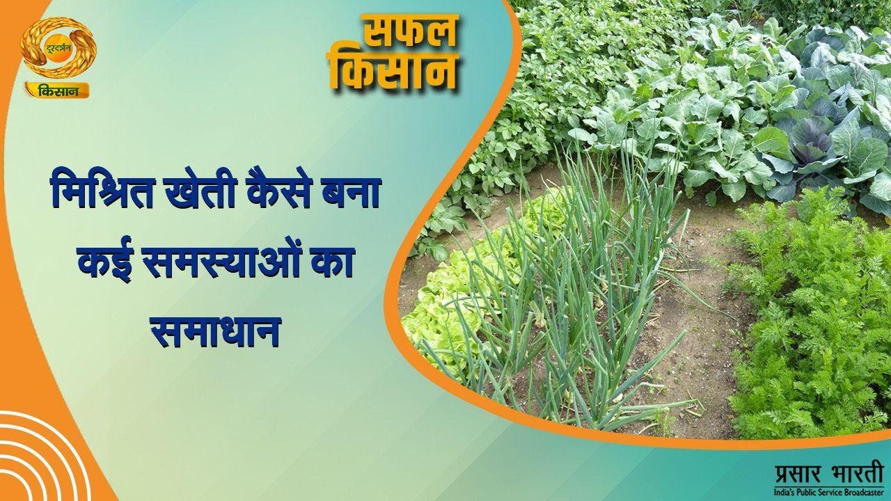 Safal Kisan: मिश्रित खेती से समस्याओं का समाधान 🌱