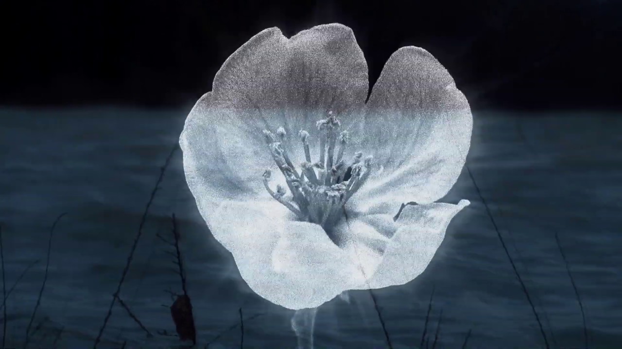 Robert Miles - A New Flower (Aaron Marshall Cover) 🎶