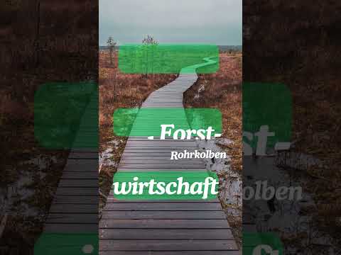 noch 20 Tage bis zur BTW25