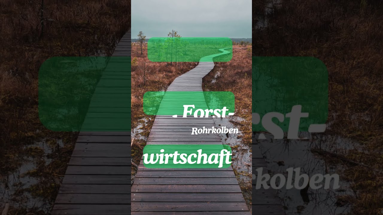 Nur noch 20 Tage bis zur BTW25 🌿