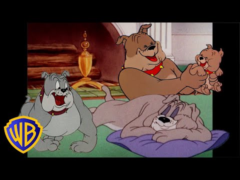 Tom & Jerry | Best of Spike 🐶 | Classic Cartoon Compilation | @wbkids