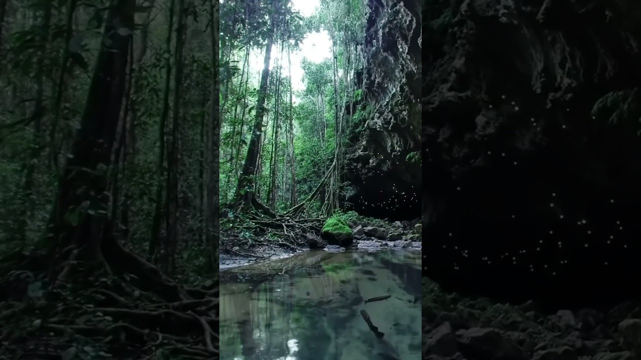 Discover the Hidden Wonders of the Amazon's Bioluminescent Cavern 🌿