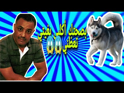 شيخ الشايب/بصحتك أكلبي😌