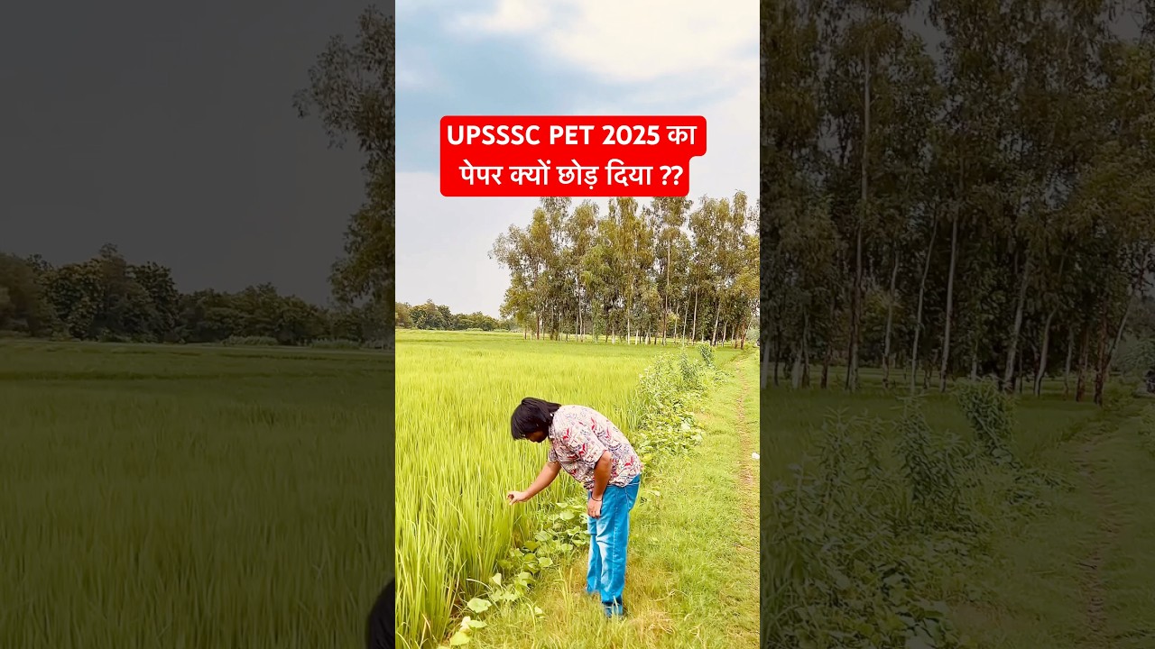 Paper देने नहीं गए ?? || UPSSSC PET 2025 Paper & Cutoff #shorts #upssscpet2025 #upssscpet #upsssc