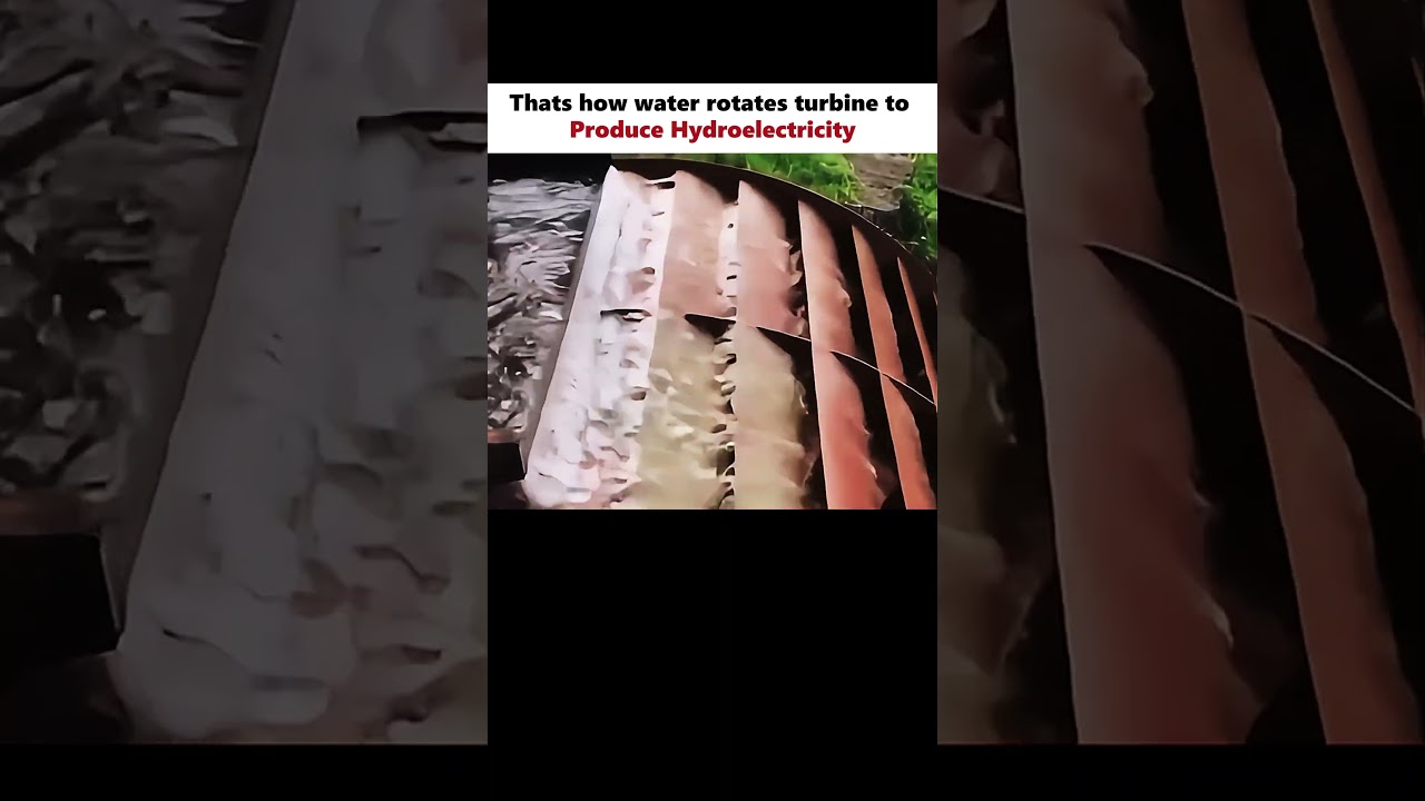 Hydroelectricity Generation 🌊 #physics #scienceexplained