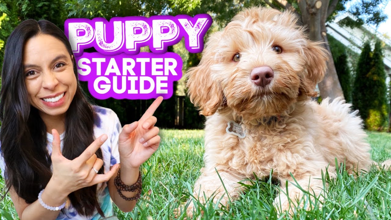First Days with Your New Puppy 🐶 Essential Tips & Must-Know Hacks
