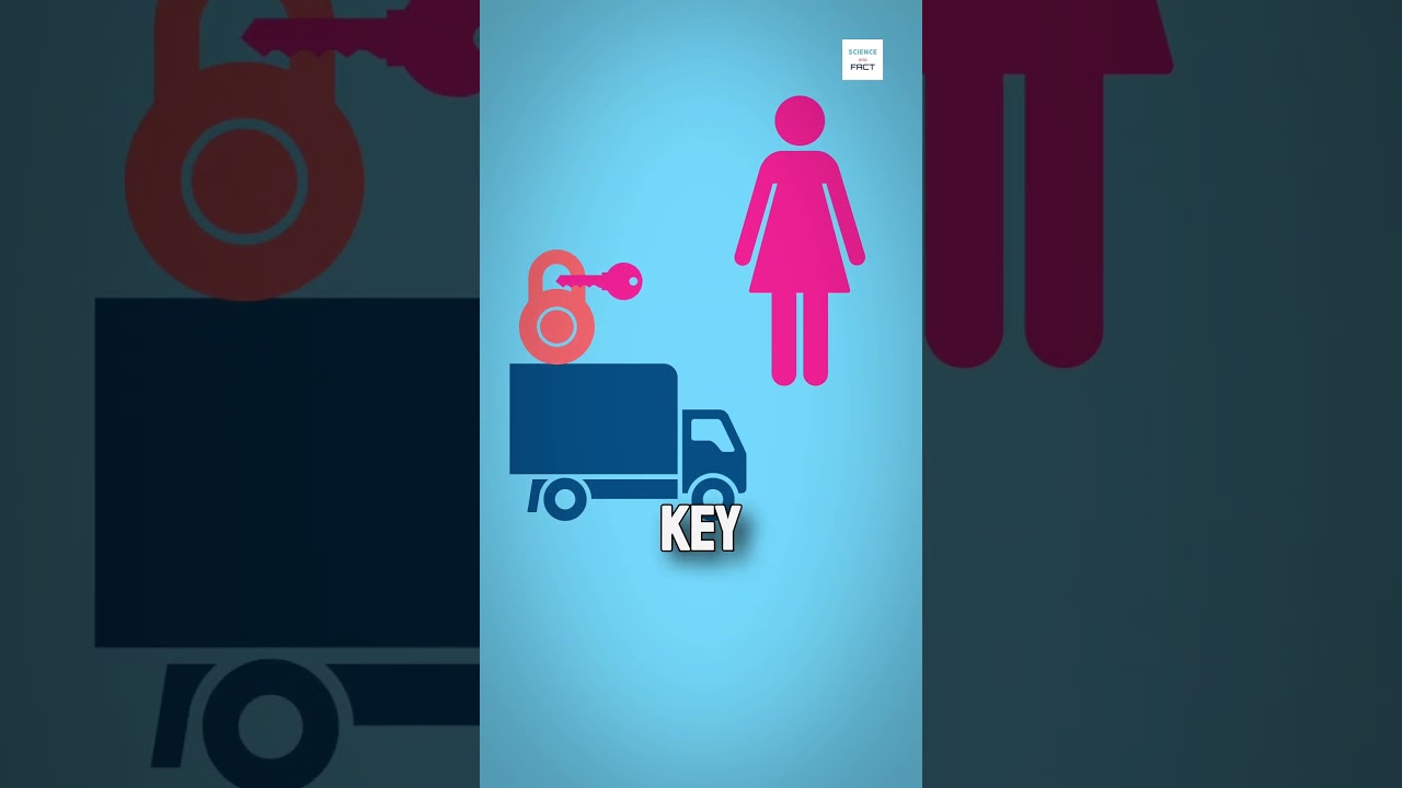 What is End-to-End Encryption?