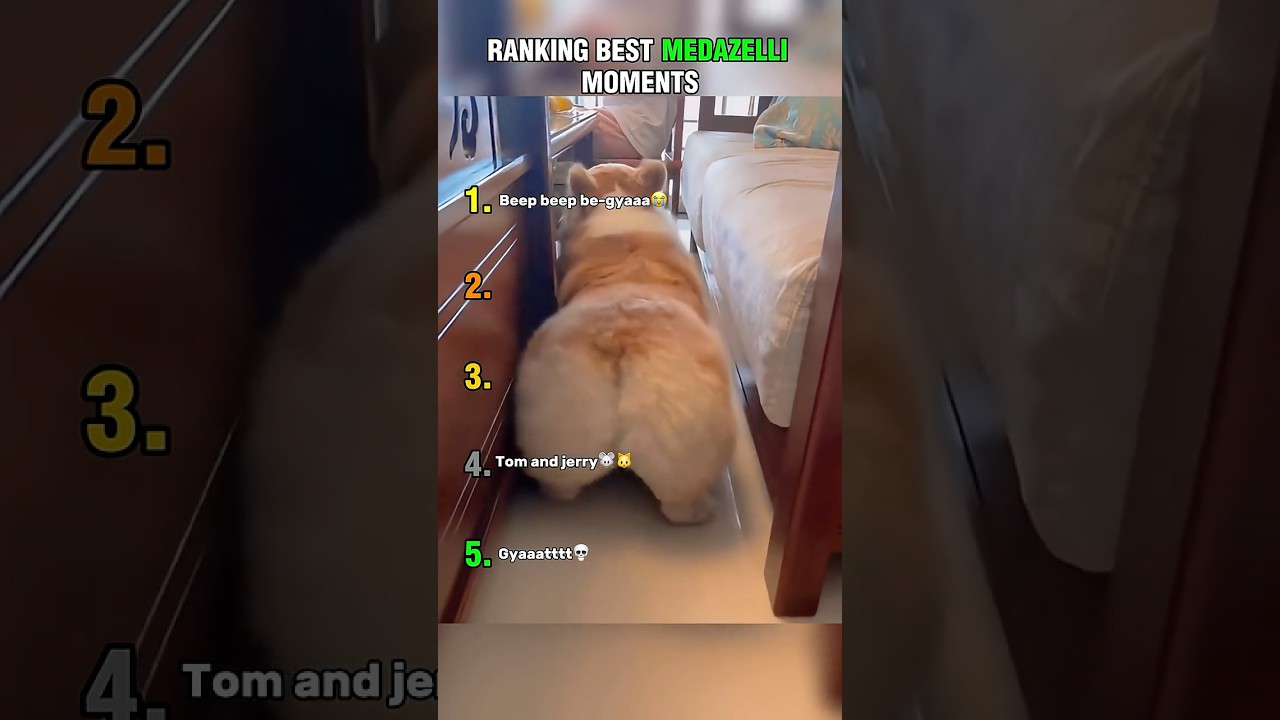 Top 5 Funniest Medazelli Moments!๐ (PART 3) #medazelli #ranking #tiktok