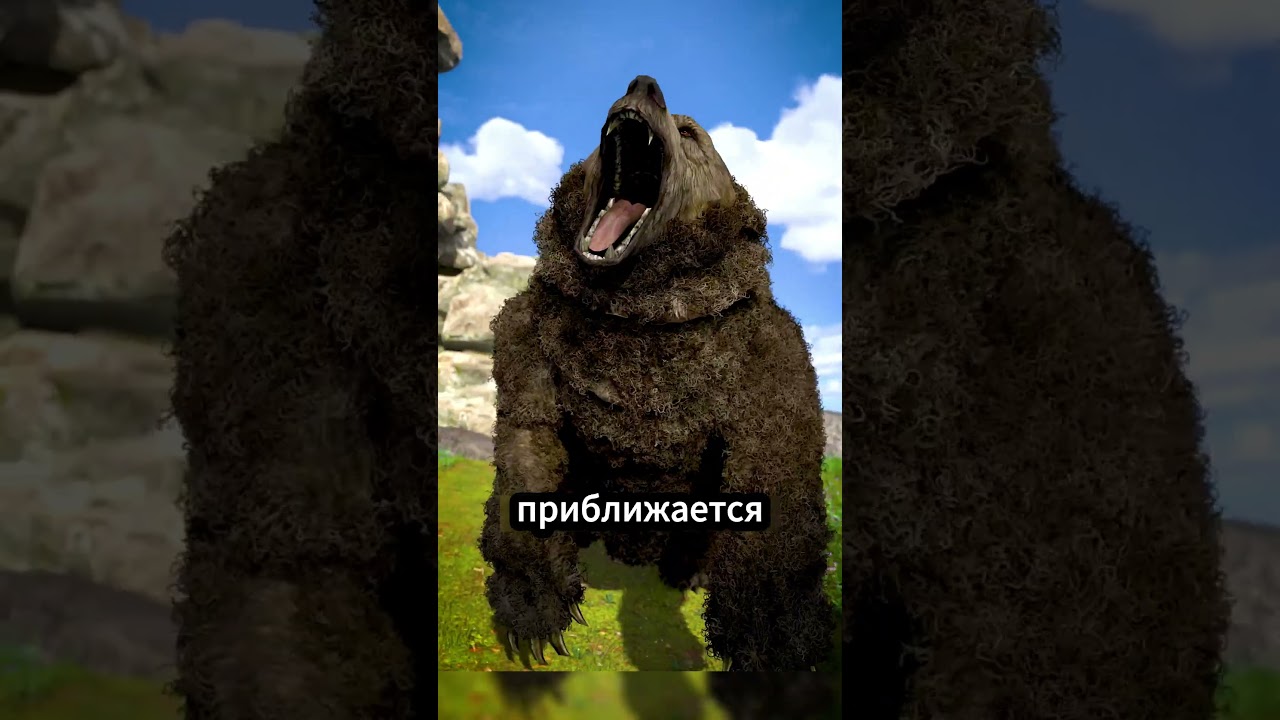 Как выжить при встрече с гризли 🐻