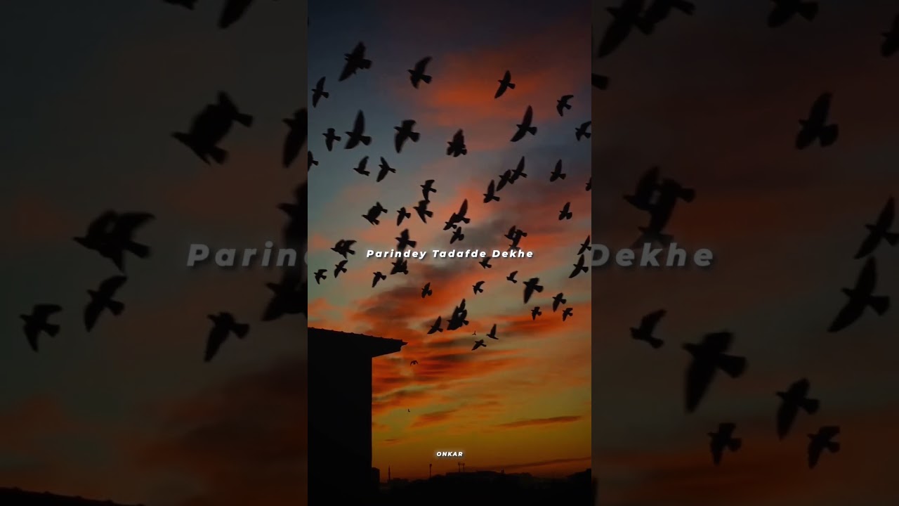 Parindey - B Praak ๐ถ | Uplifting Punjabi Song for Your Mood
