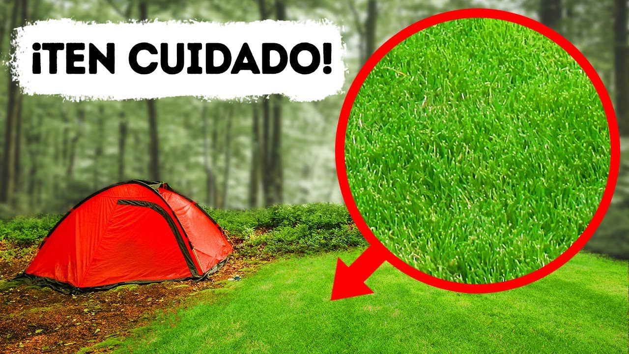 Precaución: Mantente alejado de espacios abiertos en el bosque