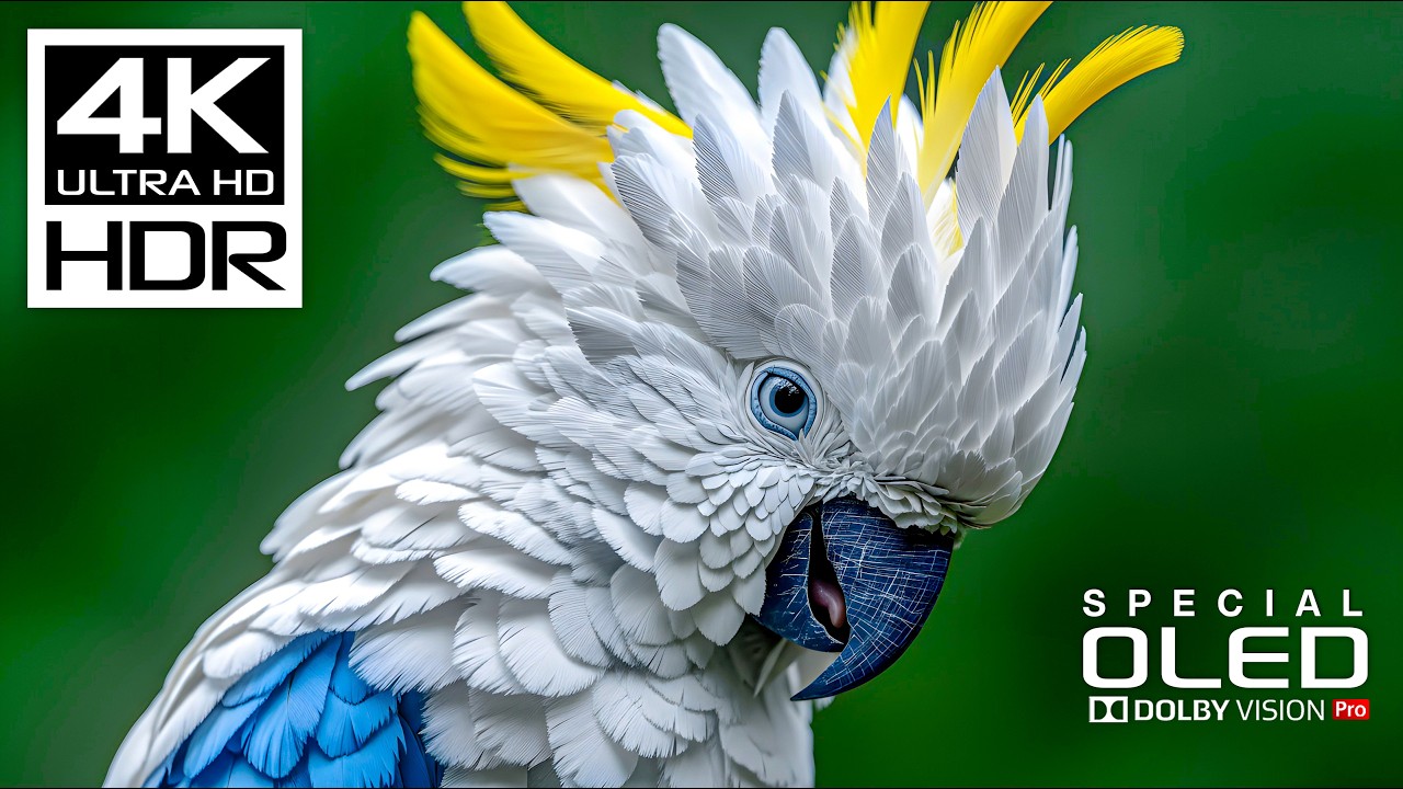 Experience Stunning 4K HDR & Dolby Vision Videos with Relaxing Meditation Music 🎶