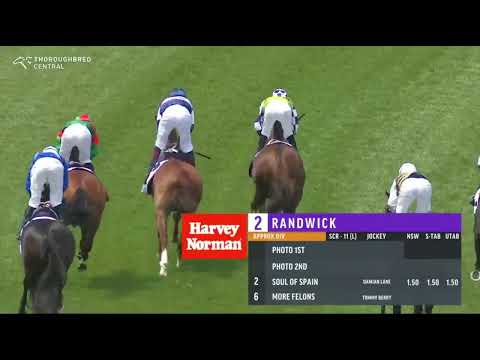 2025 ATC St Leger | Sam Hakens, More Felons, Travolta